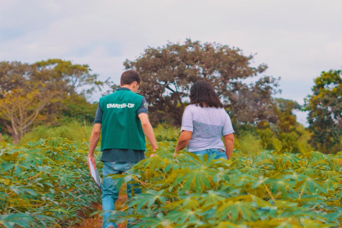 Concurso tem o objetivo de garantir a continuidade e a qualidade dos serviços de assistência técnica e extensão rural oferecidos aos produtores do Distrito Federal -  (crédito: Divulgação/Emater-DF)