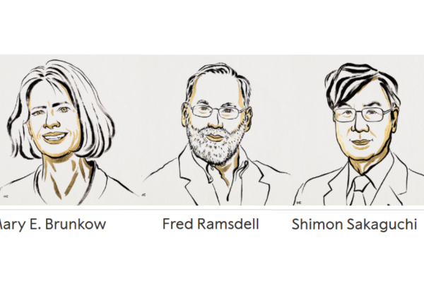 Ill. Niklas Elmehed © Nobel Prize Outreach