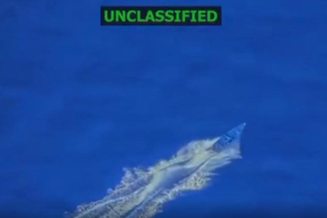 Gustavo Petro fez um discurso em protesto pró-Palestina em Nova York  -  (crédito: Reuters)