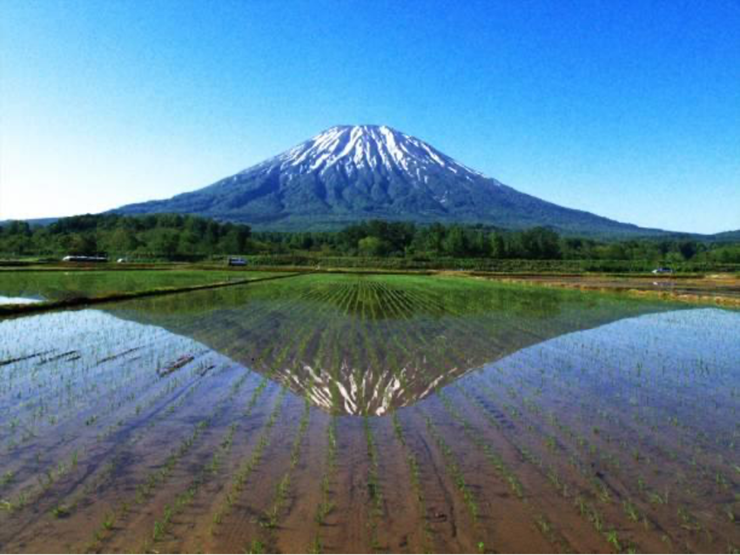Do jogo à viagem: visite o Monte Y?tei (Hokkaido) de Ghost of Yotei