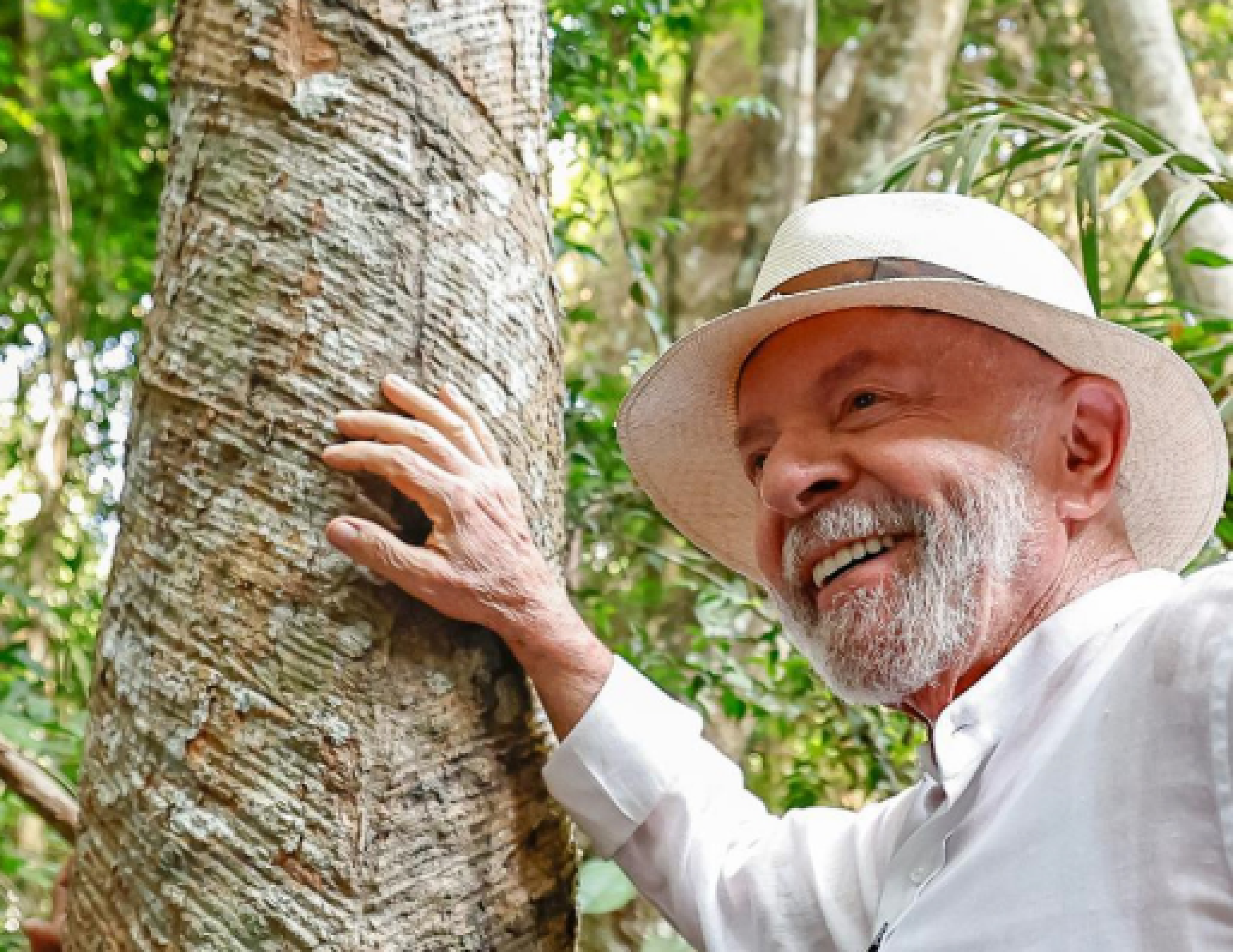 Lula destaca em Belém que COP 30 será marco para o mundo enxergar a Amazônia