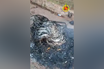 Os dois foram abordados no local do crime portando facas e 'diversos metros' de fios semi-carbonizados -  (crédito: Divulgação/PMDF)