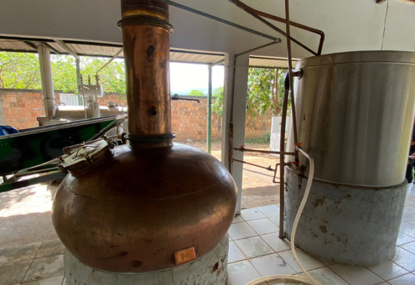 Reprodução/Ministério da Agricultura e Pecuária