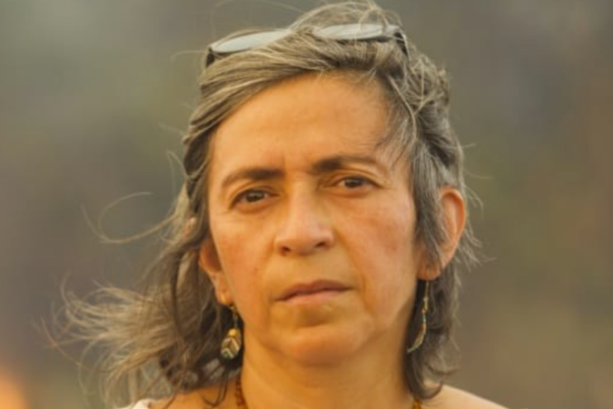 Pesquisadora - Ane Alencar   