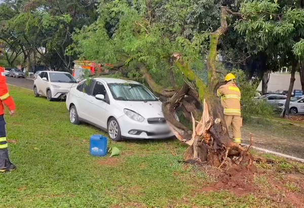 Material cedido pelos bombeiros