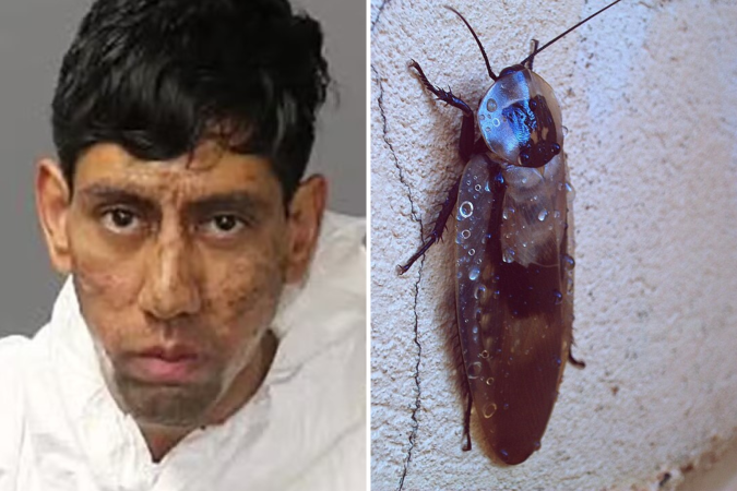 Suspeito informou às autoridades ter sido orientado por 