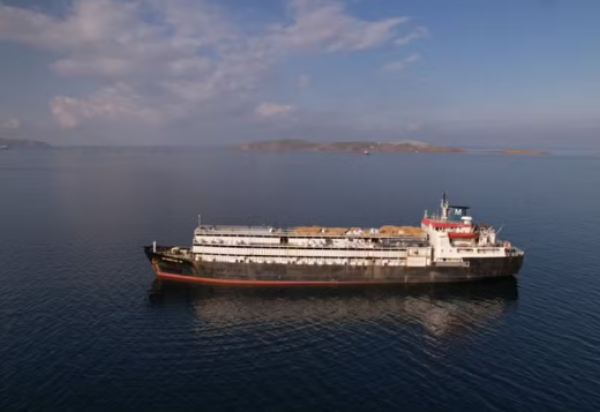 Divulgação / Animal Welfare Foundation