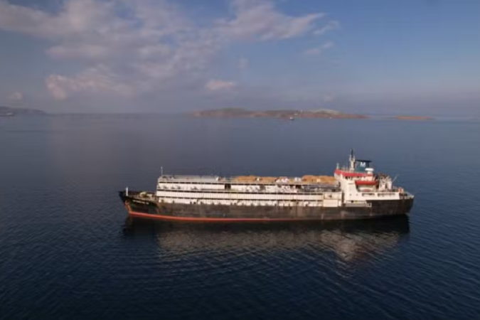 O Spiridon II, navio cargueiro em condições precárias, deixou o Uruguai em 19 de setembro deste ano -  (crédito: Divulgação / Animal Welfare Foundation)