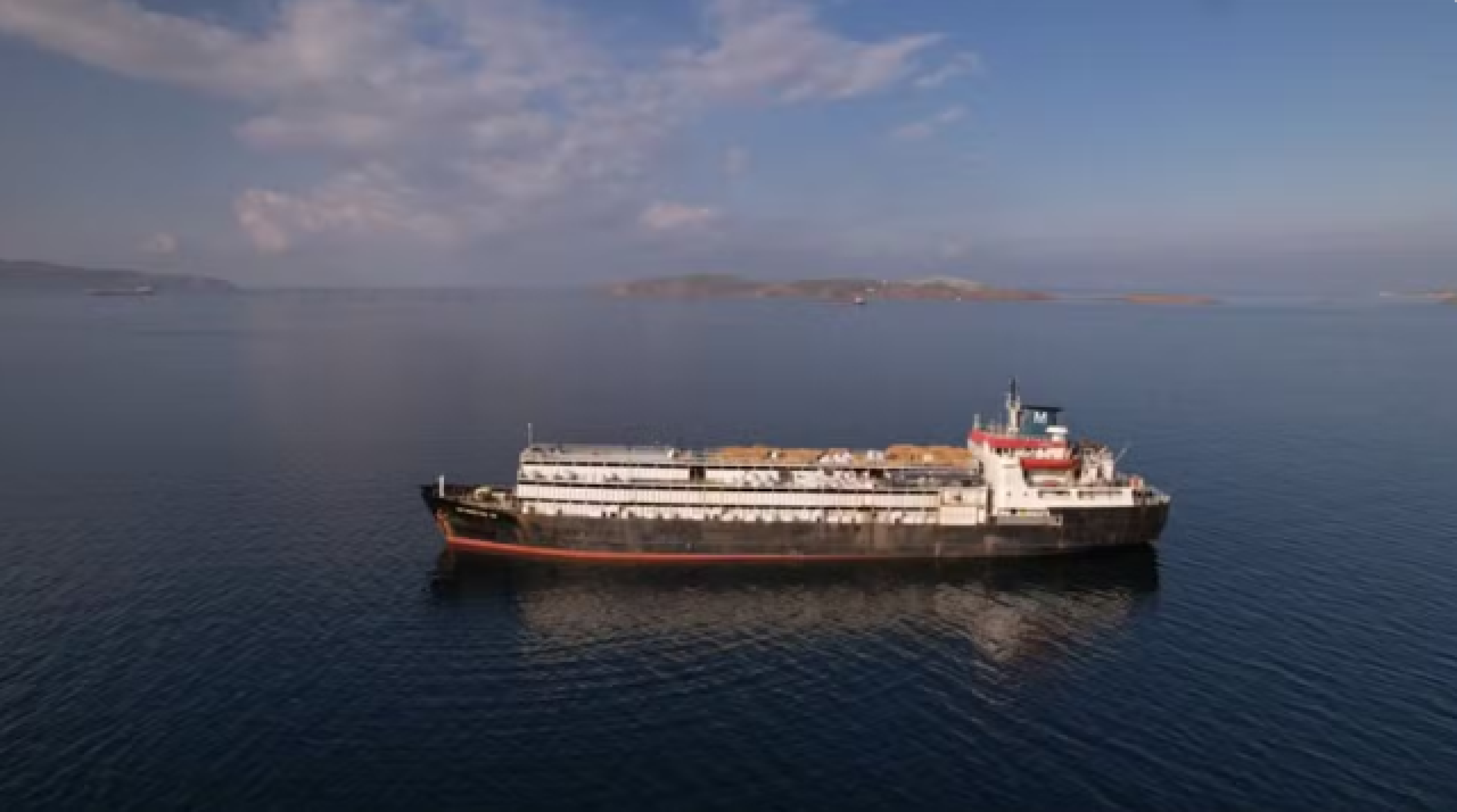 Navio com milhares de vacas à beira da morte tenta atracar no Uruguai