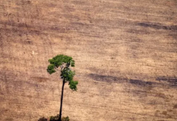 AFP via Getty Images