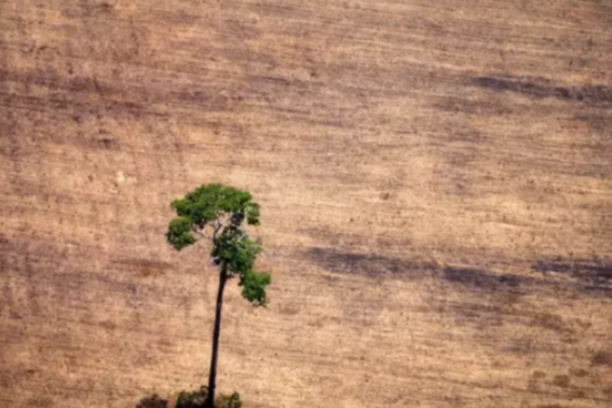 Indígenas também são afetados pelo projeto apelidado de 'PL da devastação' - (crédito: AFP via Getty Images) Indígenas também são afetados pelo projeto apelidado de 'PL da devastação' - (crédito: AFP via Getty Images)