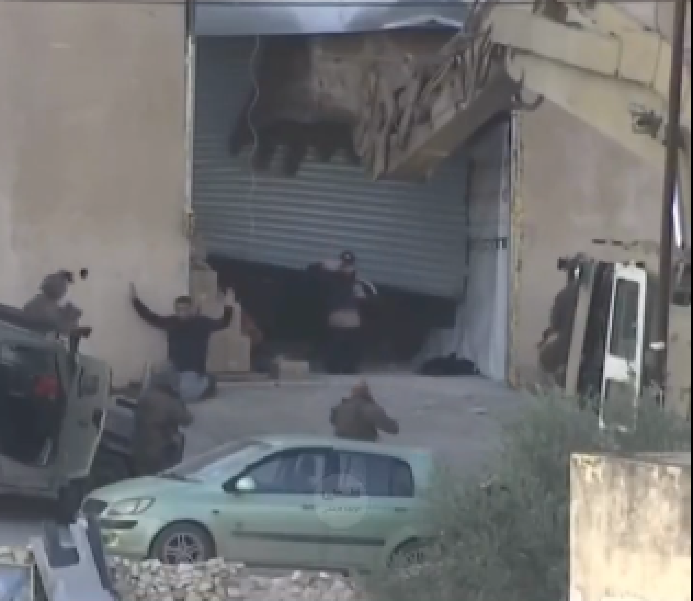 Imagens mostram soldados atirando em palestinos rendidos; Israel investiga