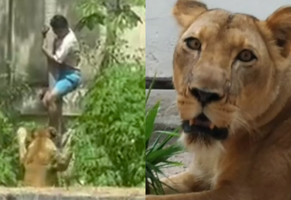 Reprodução/Redes sociais