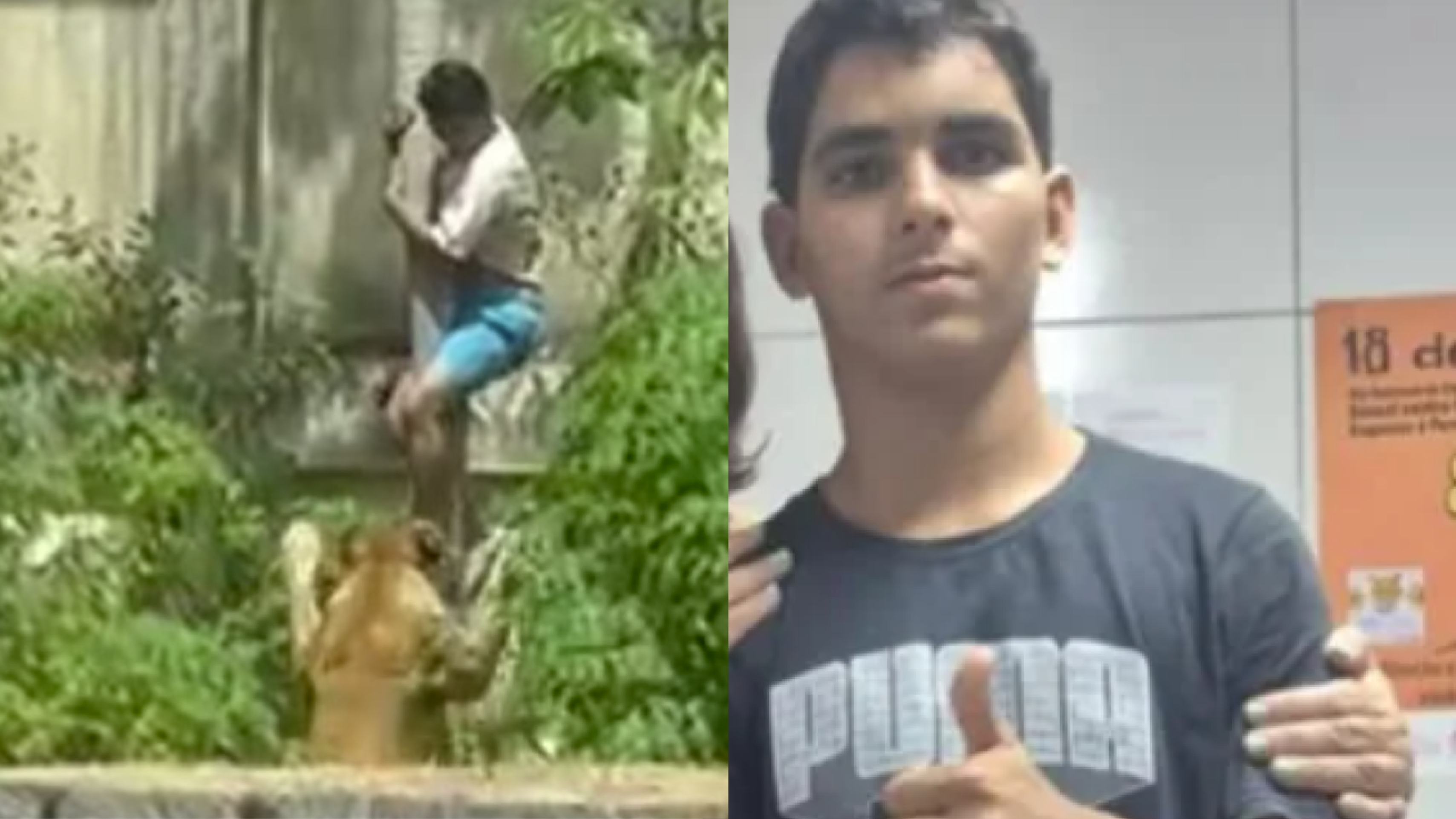 Rapaz morto por leoa levou mordida no pescoço, diz laudo do IML