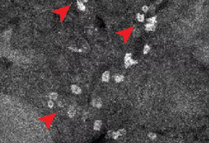 Ligações feitas pelos medicamentos no organismo humano  -  (crédito: Scripps Research) -Ligações feitas pelos medicamentos no organismo humano  -  (crédito: Scripps Research)