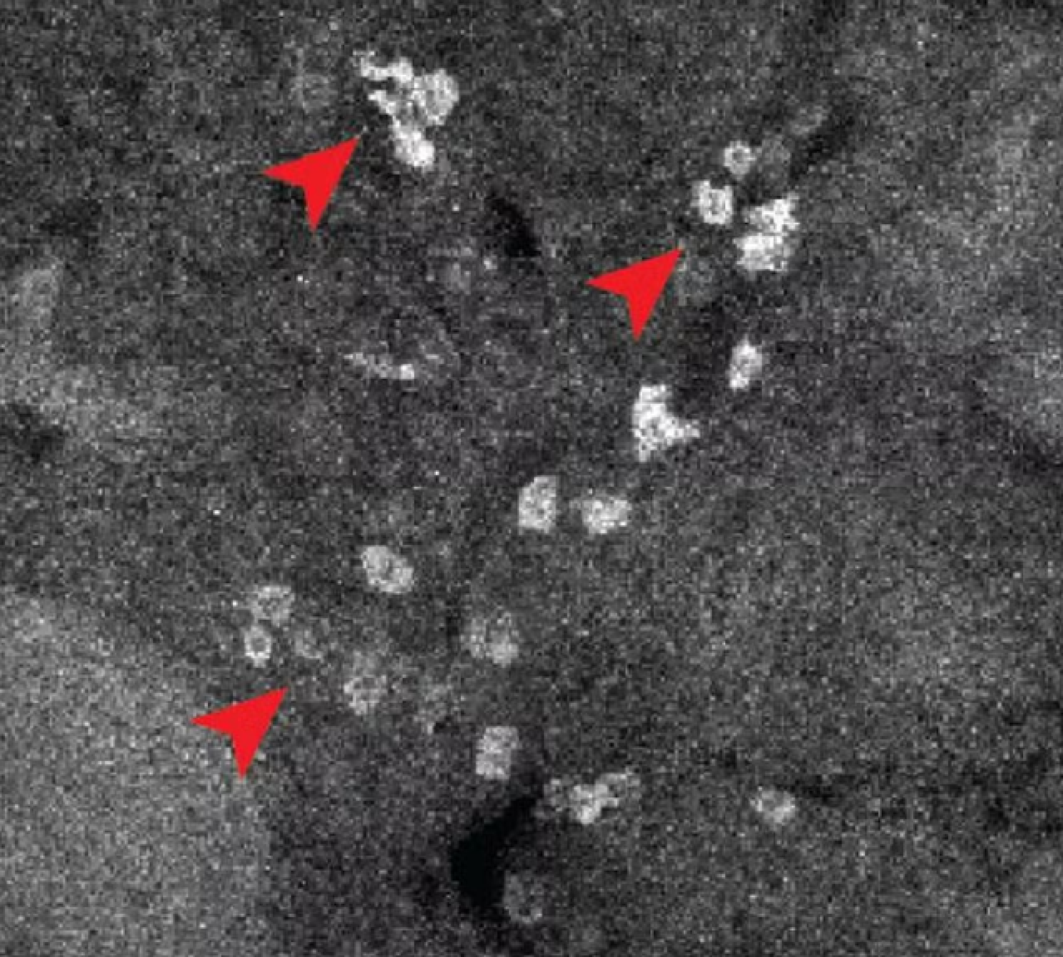 Técnica inédita mostra como medicamentos se ligam ao corpo