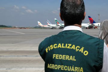 A fiscaliza&ccedil;&atilde;o ficar&aacute; a cargo do Vigiagro, respons&aacute;vel por avaliar o risco de cada produto transportado -  (crédito: Minist&eacute;rio da Agricultura e Pecu&aacute;ria/Divulga&ccedil;&atilde;o)
