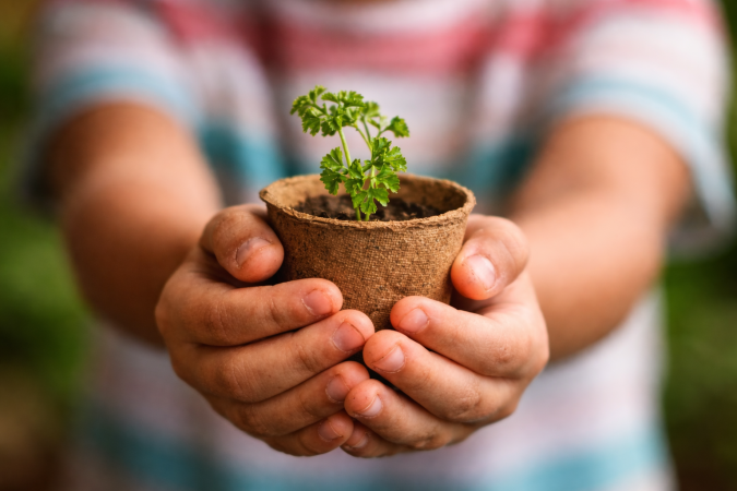 Iniciativa premiada pelo Instituto Selo Social une lazer educativo e práticas sustentáveis durante a última semana do recesso escolar. -  (crédito: Divulgação/ Boulevard Shopping Brasília)