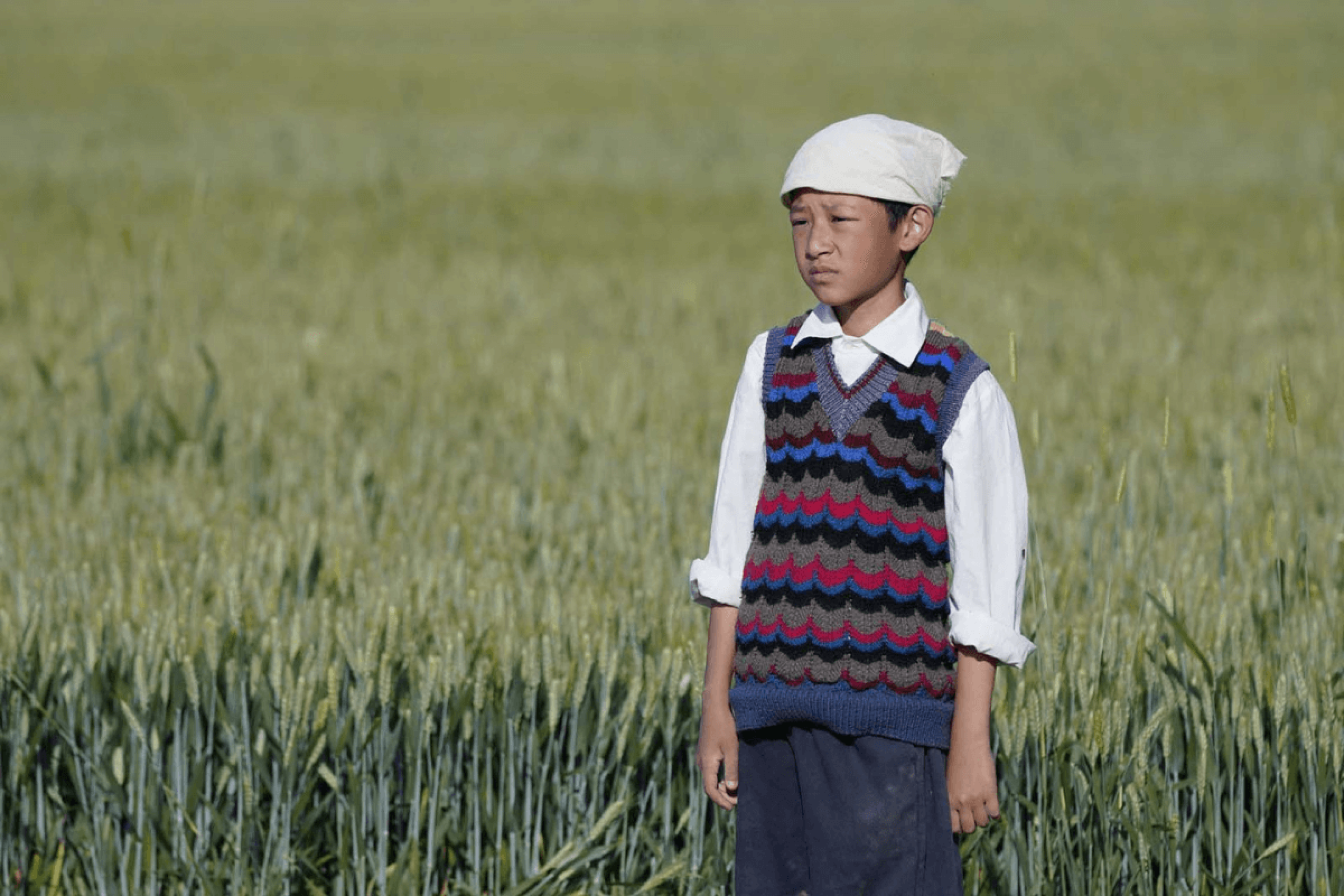 Estreias da semana: 5 filmes imperdíveis que chegam ao cinema