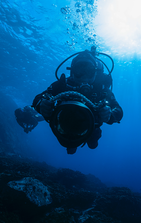 Marcelo Skaf em ação - (crédito: Divulgação ) Marcelo Skaf em ação - (crédito: Divulgação )