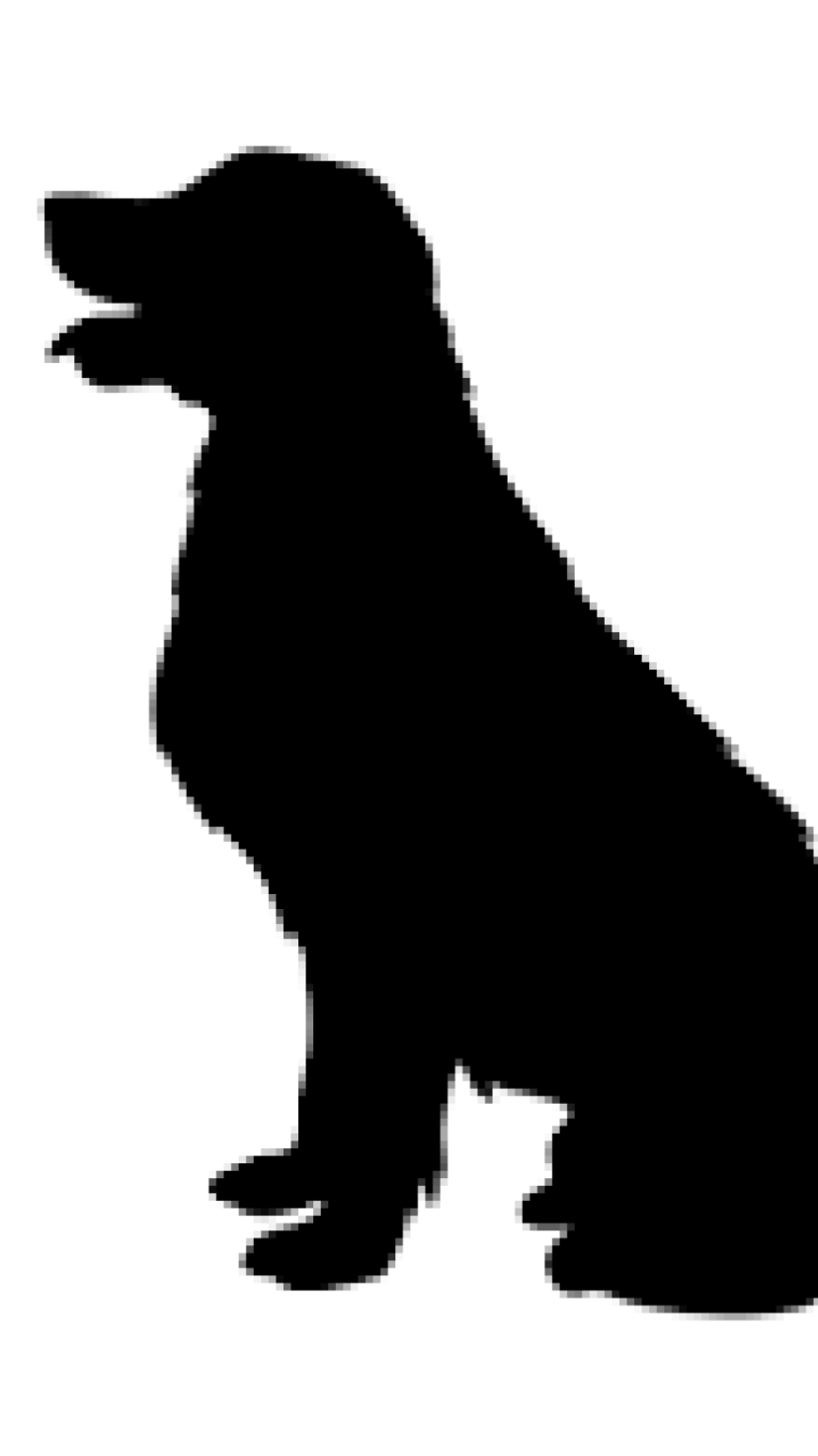 Companheiros que marcaram gerações e conquistaram corações nas telas - (crédito: gstudioimagen/Vecteezy) Companheiros que marcaram gerações e conquistaram corações nas telas - (crédito: gstudioimagen/Vecteezy)