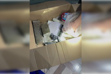 Drogas foram encontradas no lote -  (crédito: PCDF/Divulgação)