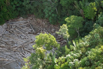 A Justiça entendeu que a degradação do meio ambiente atingiu o interesse da coletividade - (crédito: Arquivo / Agência Brasil) A Justiça entendeu que a degradação do meio ambiente atingiu o interesse da coletividade - (crédito: Arquivo / Agência Brasil)
