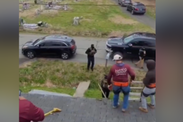 Momento da ação foi filmada -  (crédito: Reprodução redes sociais) -Momento da ação foi filmada -  (crédito: Reprodução redes sociais)