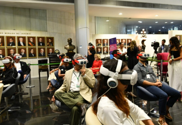 Rodrigo Viana/Senado Federal