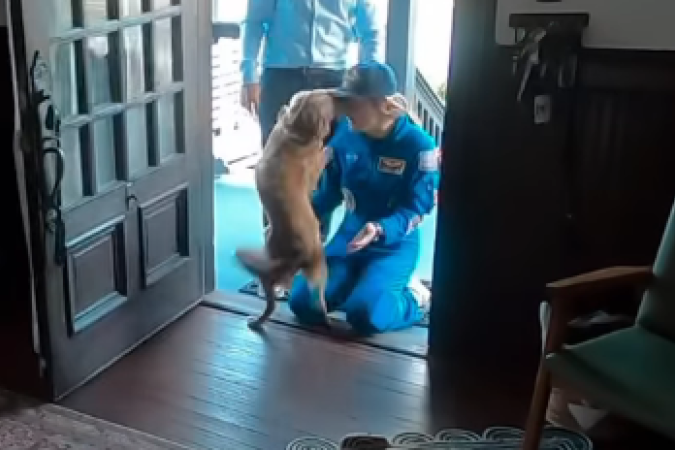 Vídeo de Christina Koch, astronauta da Artemis ll, com a pet Sadie viraliza - (crédito: Reprodução/Redes sociais) Vídeo de Christina Koch, astronauta da Artemis ll, com a pet Sadie viraliza - (crédito: Reprodução/Redes sociais)