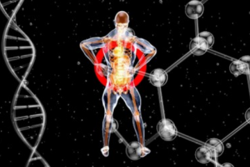 Representação do corpo humano e de rede de autoanticorpos -  (crédito:  Julien Tromeur/Pixabay)