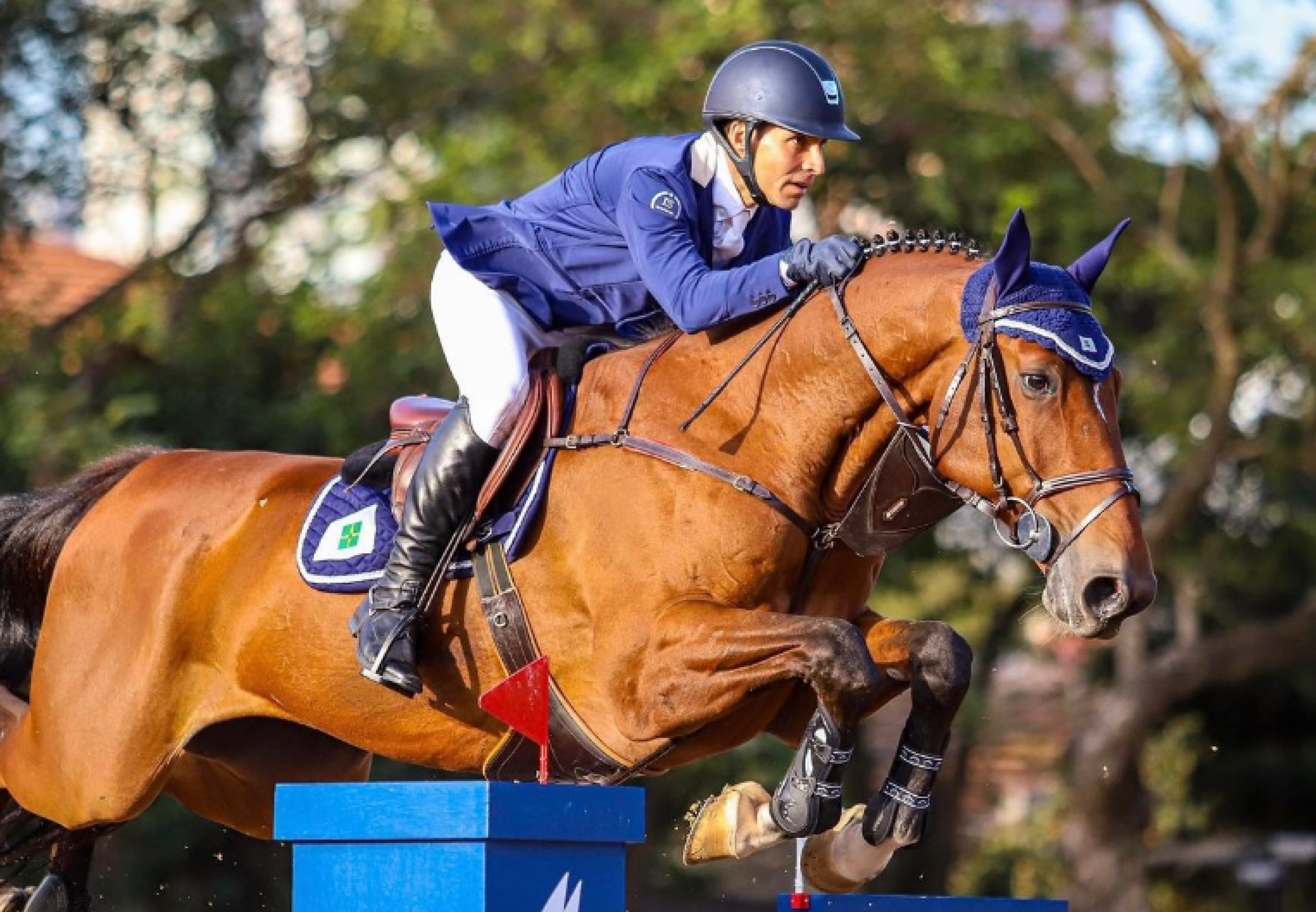 Copa JK de Hipismo reúne elite nacional e astros olímpicos em Brasília