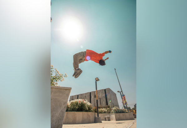MokaJou/Pexels