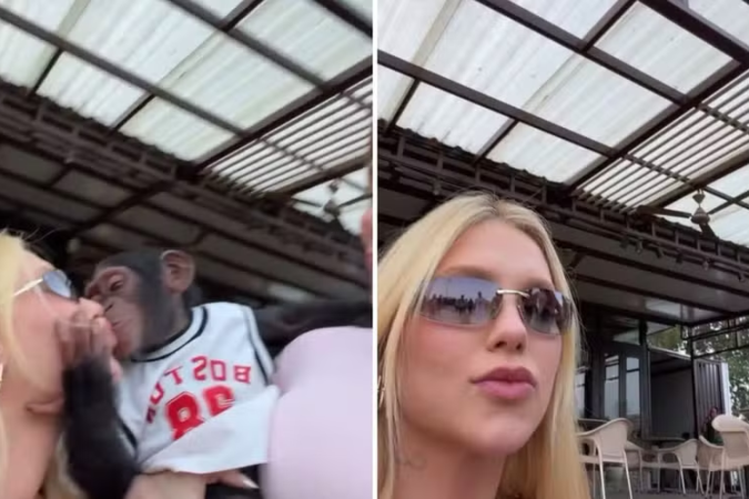 Virginia Fonseca viralizou na web ao surgir dando beijo em um macaco - (crédito: Reprodução/Instagram) Virginia Fonseca viralizou na web ao surgir dando beijo em um macaco - (crédito: Reprodução/Instagram)