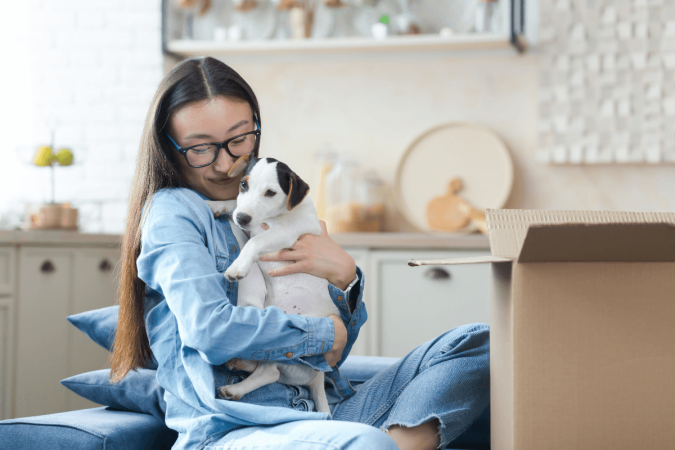 A chegada de um pet adotado pede adaptação, paciência e novos hábitos na rotina (Imagem: voronaman | Shutterstock) - (crédito: EdiCase) A chegada de um pet adotado pede adaptação, paciência e novos hábitos na rotina (Imagem: voronaman | Shutterstock) - (crédito: EdiCase)
