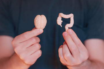 Conexão direta entre cérebro e intestino é capaz de influenciar a digestão, o trânsito intestinal e até a composição da microbiota (Imagem: Chizhevskaya Ekaterina | Shutterstock) -  (crédito: EdiCase)