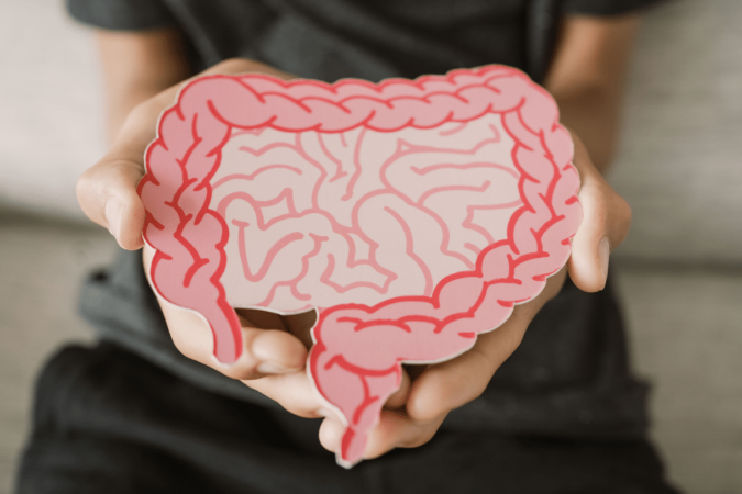 A disbiose é um desequilíbrio da microbiota intestinal, conjunto de trilhões de microrganismos que vivem naturalmente no intestino (Imagem: SewCreamStudio | Shutterstock)
- (crédito: EdiCase) A disbiose é um desequilíbrio da microbiota intestinal, conjunto de trilhões de microrganismos que vivem naturalmente no intestino (Imagem: SewCreamStudio | Shutterstock)
- (crédito: EdiCase)