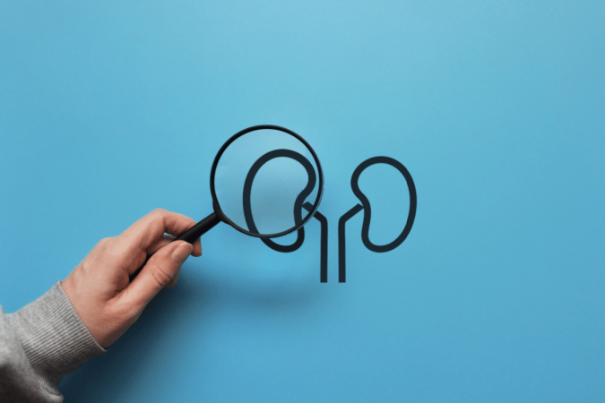 A insuficiência renal crônica pode permanecer silenciosa durante muito tempo (Imagem: Fida Olga | Shutterstock) - (crédito: EdiCase) A insuficiência renal crônica pode permanecer silenciosa durante muito tempo (Imagem: Fida Olga | Shutterstock) - (crédito: EdiCase)