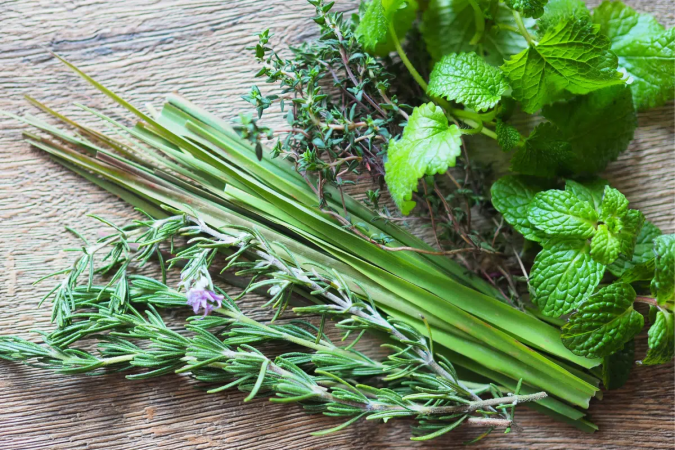 Os banhos de ervas ajudam a renovar as energias e a cultivar uma mentalidade de abundância (Imagem: kinako | Shutterstock) - (crédito: EdiCase) Os banhos de ervas ajudam a renovar as energias e a cultivar uma mentalidade de abundância (Imagem: kinako | Shutterstock) - (crédito: EdiCase)