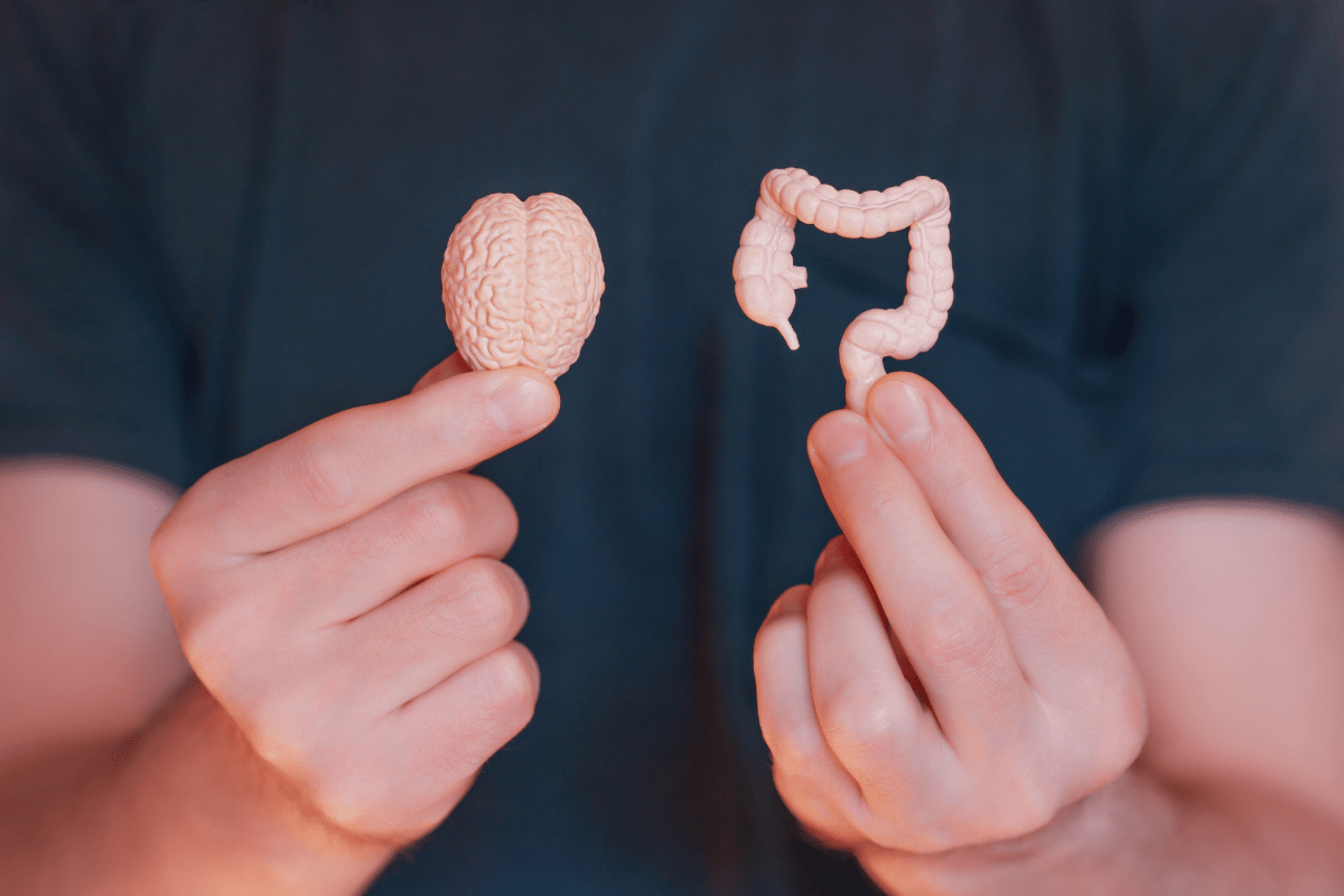 Síndrome do Intestino Irritável: entenda como as emoções podem desencadear os sintomas 