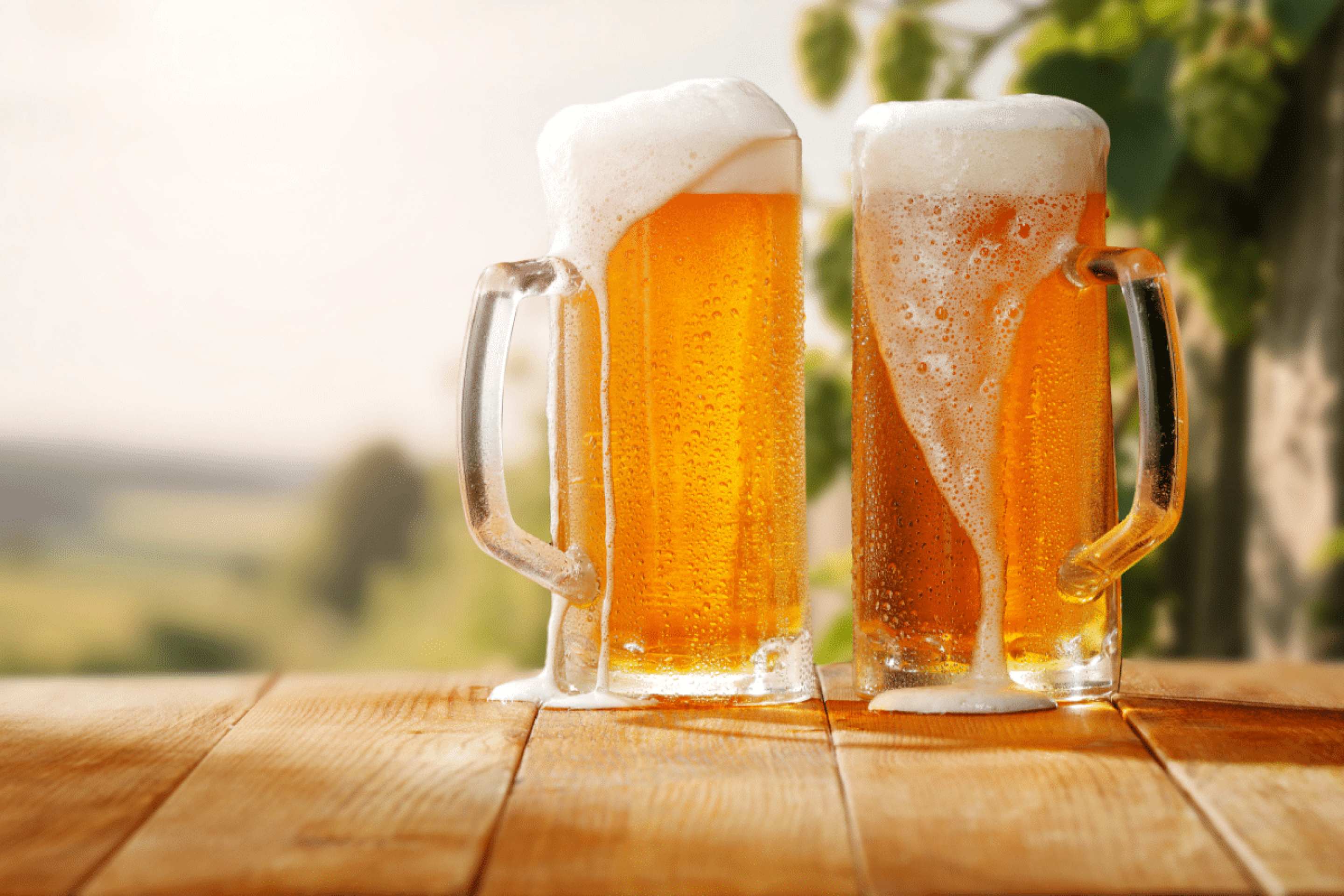 Dia Mundial da Cerveja: três segredos para deixar a bebida no ponto perfeito para degustação