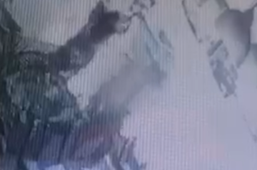 Suspeito foi encaminhado à 1ª Delegacia de Polícia, na Asa Sul - (crédito: Material cedido ao Correio) Suspeito foi encaminhado à 1ª Delegacia de Polícia, na Asa Sul - (crédito: Material cedido ao Correio)