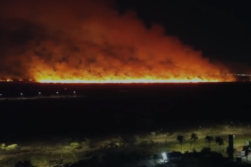 Incêndio de grandes proporções atinge vegetação no Parque do Tororó - (crédito: Reprodução/CBMDF) Incêndio de grandes proporções atinge vegetação no Parque do Tororó - (crédito: Reprodução/CBMDF)