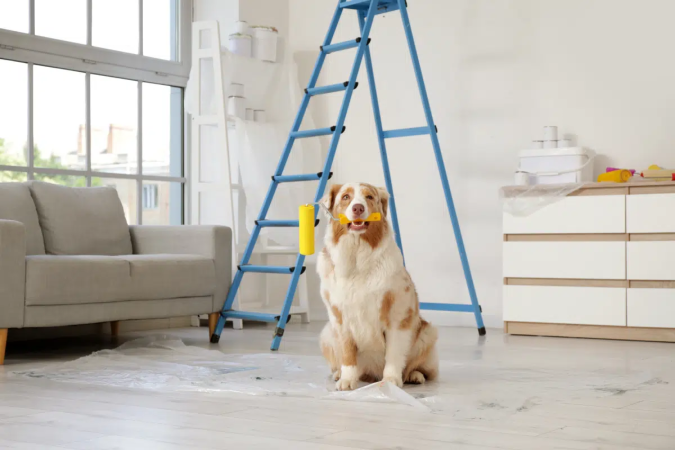 Cuidados simples tornam a reforma em casa menos assustadora para os pets (Imagem: Pixel-Shot | Shutterstock)
- (crédito: EdiCase) Cuidados simples tornam a reforma em casa menos assustadora para os pets (Imagem: Pixel-Shot | Shutterstock)
- (crédito: EdiCase)