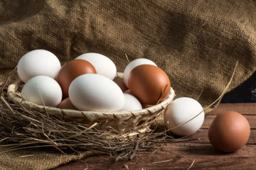 O armazenamento adequado ajuda a preservar as características e a qualidade dos ovos (Imagem: Irina999petrova | Shutterstock) - (crédito: EdiCase) O armazenamento adequado ajuda a preservar as características e a qualidade dos ovos (Imagem: Irina999petrova | Shutterstock) - (crédito: EdiCase)