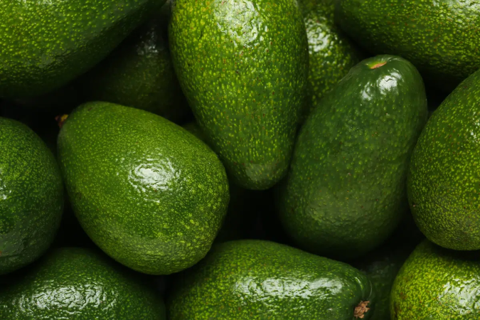 O abacate verde precisa permanecer em condições que permitam a continuidade do seu amadurecimento (Imagem: monshtein | Shutterstock) - (crédito: EdiCase) O abacate verde precisa permanecer em condições que permitam a continuidade do seu amadurecimento (Imagem: monshtein | Shutterstock) - (crédito: EdiCase)