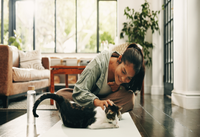 Embora os gatos sejam animais independentes, eles também apreciam momentos de carinho e atenção (Imagem: PeopleImages | Shutterstock)  -  (crédito: EdiCase) -Embora os gatos sejam animais independentes, eles também apreciam momentos de carinho e atenção (Imagem: PeopleImages | Shutterstock)  -  (crédito: EdiCase)