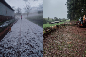Até o momento, 49 cidades foram afetadas pelo temporal, que deixou ao menos 70 pessoas desalojadas, sete feridas e duas mortas desde a última sexta-feira -  (crédito: Reprodução/Instagram/Prefeitura de Constantina)