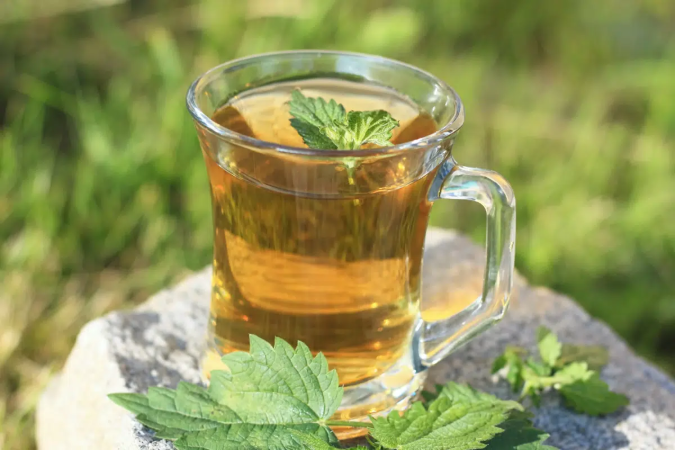 A urtiga é uma planta medicinal que oferece benefícios à saúde (Imagem: iva | Shutterstock) - (crédito: EdiCase) A urtiga é uma planta medicinal que oferece benefícios à saúde (Imagem: iva | Shutterstock) - (crédito: EdiCase)