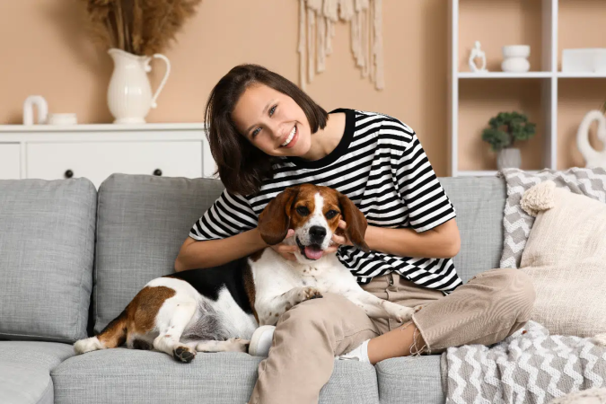 A relação entre tutores e cães pode ser marcada por carinho e proximidade, mas é importante respeitar as necessidades do animal (Imagem: Pixel-Shot | Shutterstock) - (crédito: EdiCase) A relação entre tutores e cães pode ser marcada por carinho e proximidade, mas é importante respeitar as necessidades do animal (Imagem: Pixel-Shot | Shutterstock) - (crédito: EdiCase)